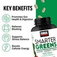 thumbnail image 3 of Force Factor Smarter Greens Supplement with Probiotics, KSM-66 Ashwagandha & Antioxidants for Digestion, Gut Health, Bloating & Energy, 90 Tablets, 3 of 10