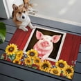 thumbnail image 3 of Pigs Sunflowers Entryway Rug 2'x3'&nbsp; Non Slip Front Door Mats, Farmhouse Red Barn Flowers Animals Entrance Rugs Indoor Outdoor Carpet, Washable Floor Mats Small Area Rug for Bedroom Kitchen, 3 of 8