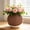 Brown, variant on Two Tone Woven Texture Plastic Flower Pot with Saucer - Modern Dual Color Decorative Planter for Succulents Cactus Bonsai Small Plants, Lightweight Indoor Outdoor Home Office Desktop