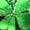 #2_Green,Clearance Deals, variant on 2025 St Patricks Day Tee Shirts for Women Funny Festival Blouse Sparkler Lucky Shamrock Clover Graphic Tees Fashion 3/4 Sleeve Clothes(Green,XXL)