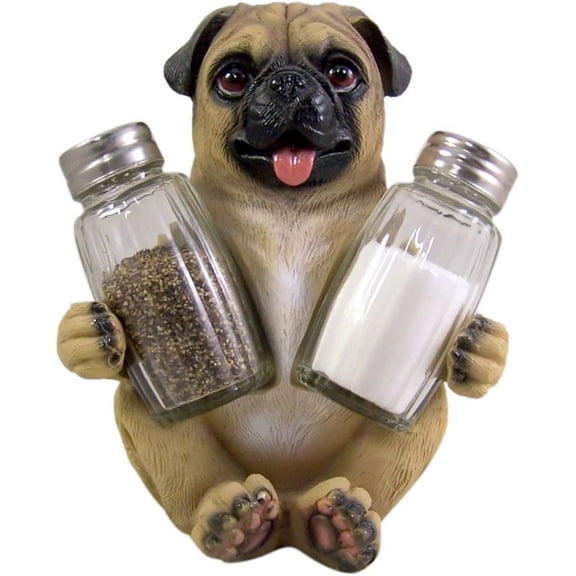 y  Salt and Shaker Holder (Shakers Included)