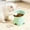 Green, variant on Fmbmuo Elevated Dog Bowls Non-Slip for Medium Dogs Plastic Green Elevated Cat Bowls, Cute Dishwasher Safe Modern Pet Bowls, Suitable for Dogs and Cats