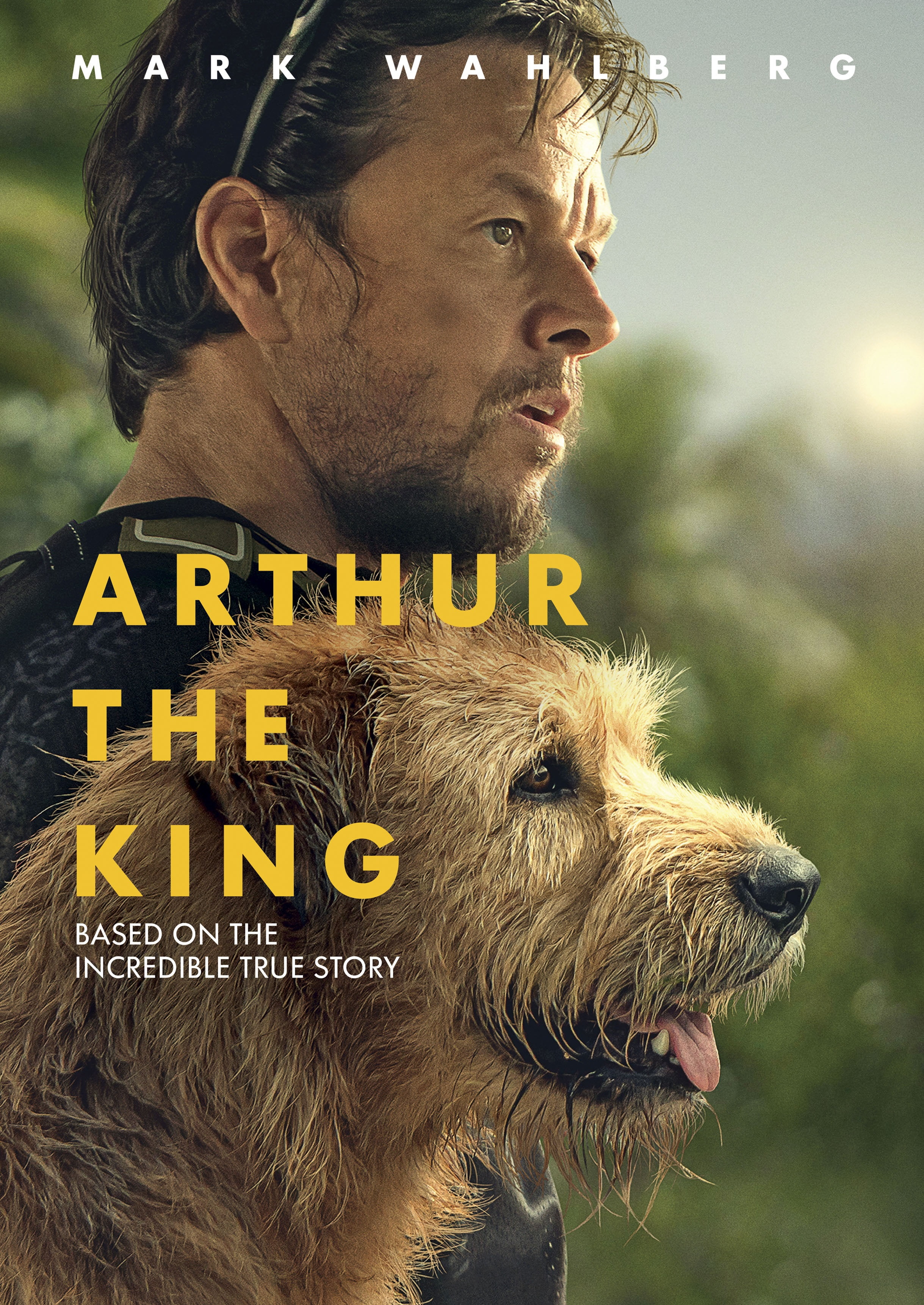 Arthur The King (DVD)