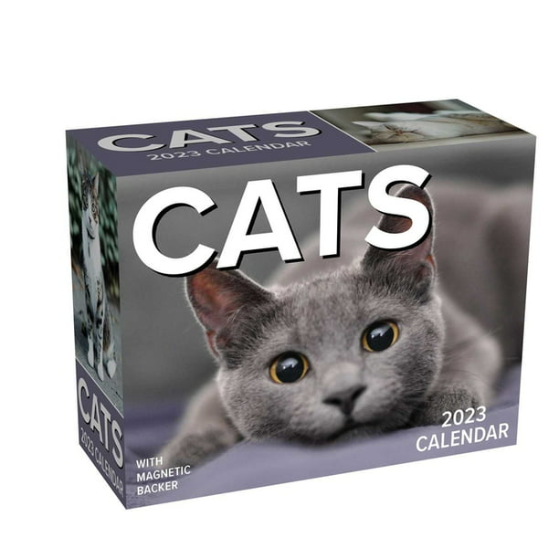 cats-2023-mini-day-to-day-calendar-calendar-walmart