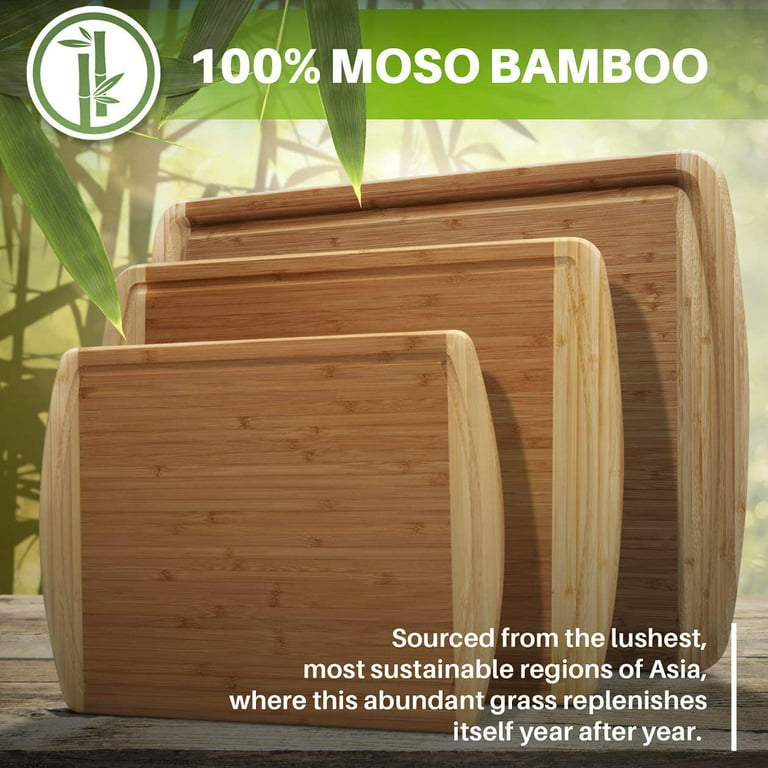  Organic Small Cutting Boards with Lifetime Replacements Wooden Cutting  Boards for Kitchen Small Wood Cutting Board Small Bamboo Cutting Board:  Home & Kitchen