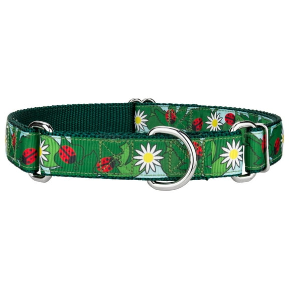 Country Brook Petz® Ladybugs Picnic Ribbon Martingale Dog Collar, Medium