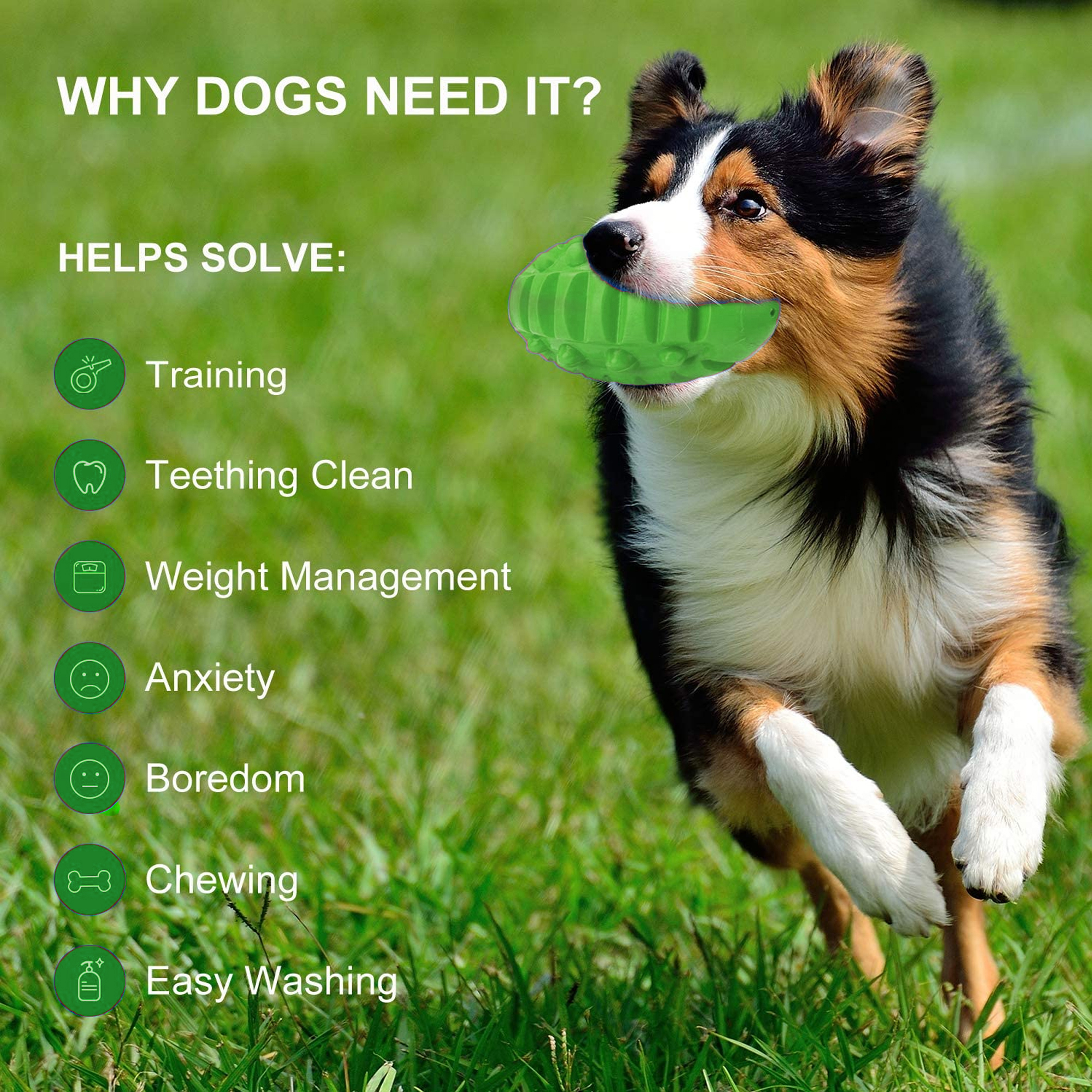 Pet Deluxe Squeaky Rugby Ball Toy for Large Dogs photo 7