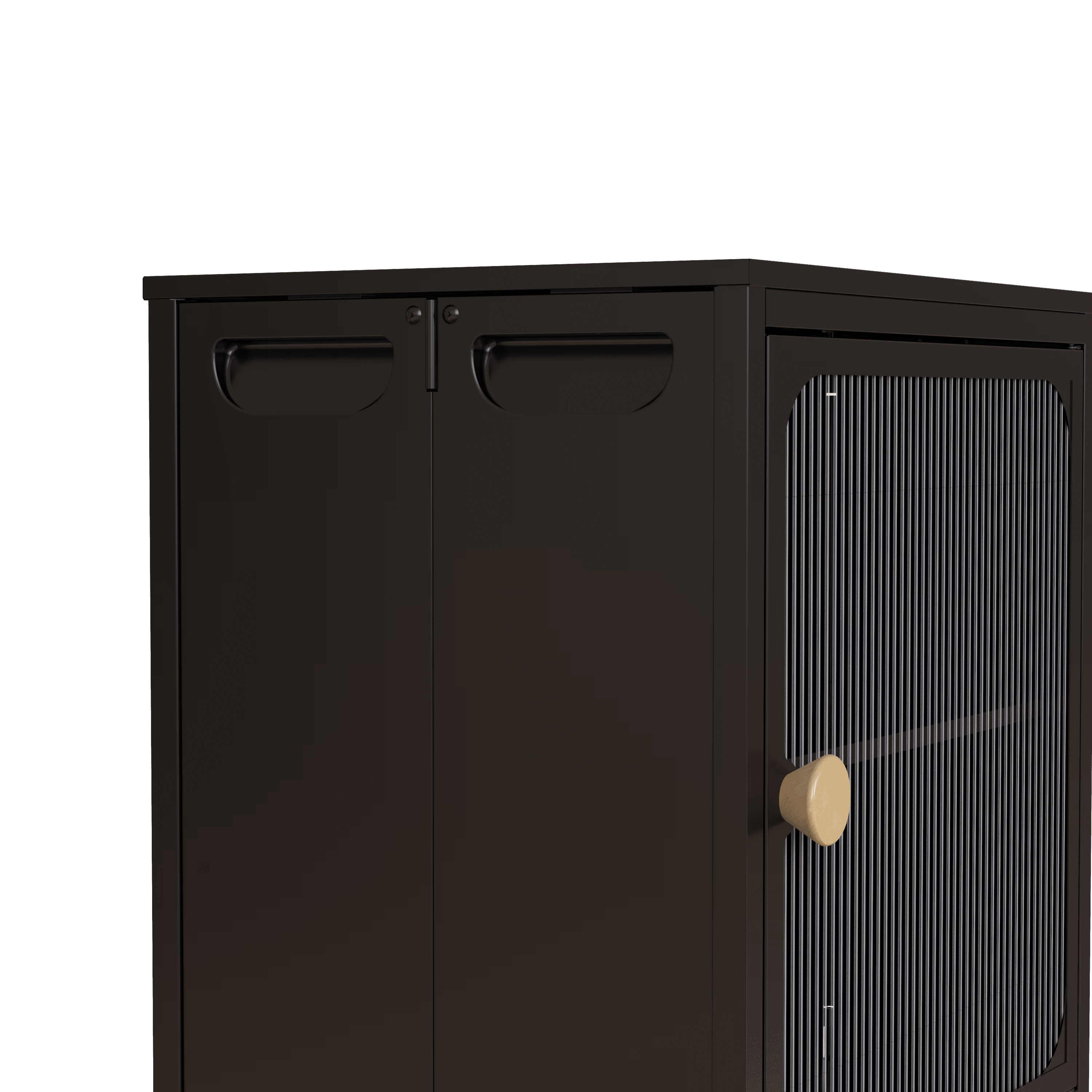 MAYEERTY Foldable Storage Cabinet, Steel-Wood Combo with Anti-Slip Design, Black