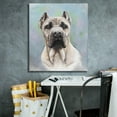 thumbnail image 5 of Epic Graffiti 'Cane Corso 2' by Barbara Keith, Canvas Wall Art, 26"x30", 5 of 8