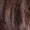 4 - LIGHT BROWN, variant on Freetress Synthetic Pre Stretched Braid - 3X BRAID 301 34" (1B Off Black)