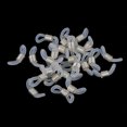 thumbnail image 3 of 25 Color Ends For Eyeglass Glasses Chain Holder, 3 of 5