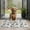 Schnauzer Dogs With, variant on Poodles Door Rugs,Washable Non Slip Door Mats Indoor,Decorative Door Mats,Entry Mat Indoor for Entrance,Bedroom,Kitchen,Bathroom,16"x24"
