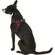 thumbnail image 2 of Copatchy Arnés reflectante para perros sin tirones (pequeño, rojo), 2 of 5