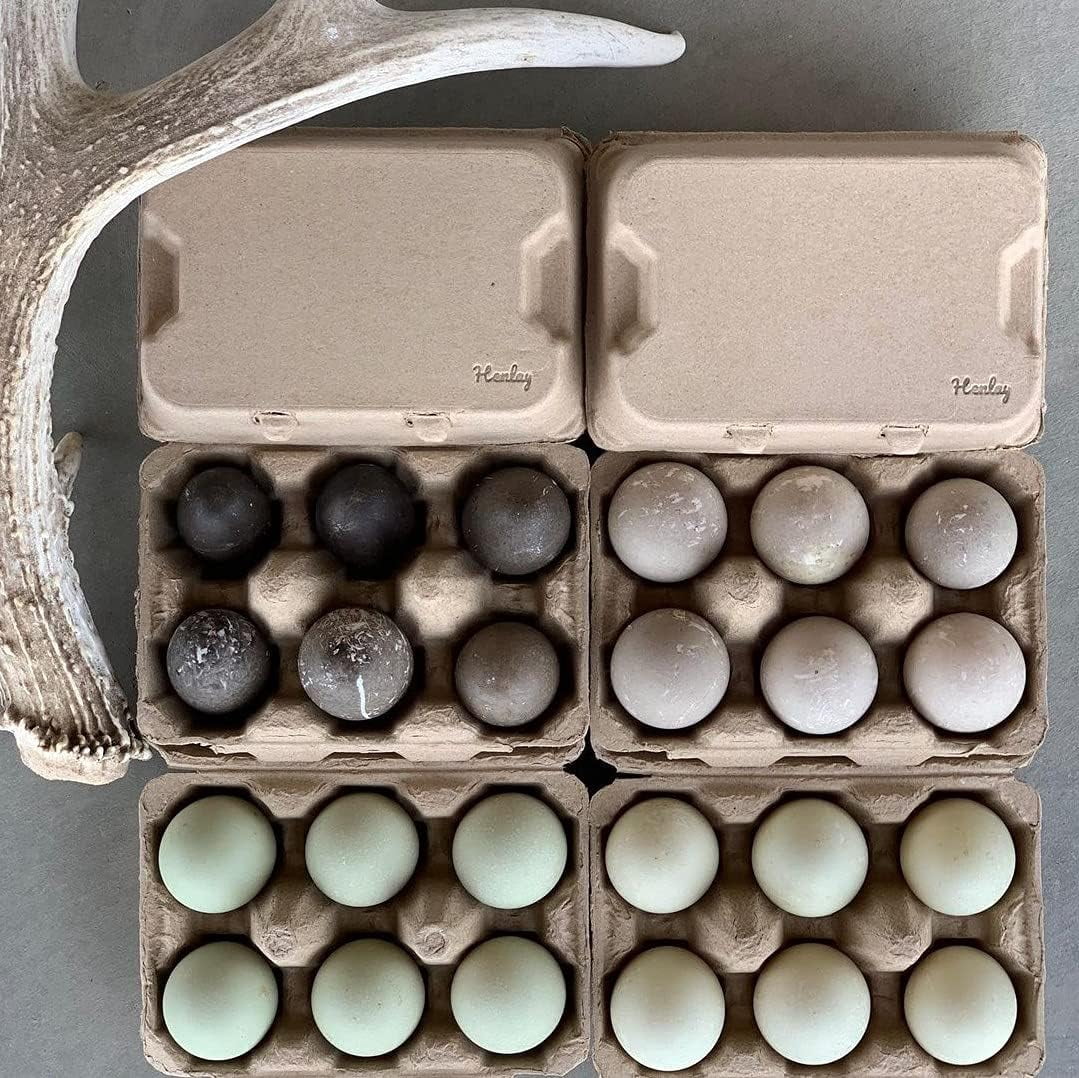 HENLAY Duck Egg Beige Pulp Paper  Dozen Egg Cartons, Reusable 20-Pack