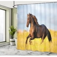 thumbnail image 5 of Ambesonne Horses Shower Curtain, Meadow Mystery Horse, 69"Wx84"L, Yellow Brown Blue, 5 of 5