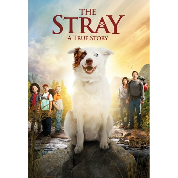 The Stray [DVD], Children,Feature,Drama, Family, Independent, Faith And Spirituality,Drama,Family,