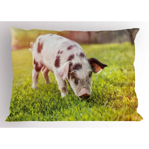 Ambesonne Farm Animal Pillow Sham, Pig with Spots, 26" X 20", Multicolor