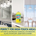 thumbnail image 6 of Windex Disinfectant Cleaner Multi-Surface Refill, Citrus Fresh, 67.6 fl oz, 6 of 15