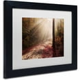 thumbnail image 2 of Trademark Fine Art 'Light in the Forest' Canvas Art by Michael Blanchette Photography, White Matte, Black Frame, 2 of 4