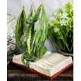 thumbnail image 5 of Amy Brown Fantasy Green Rune Book Dragon Of Bibliography Figurine Decor Statue, 5 of 5