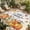 GoldenRod, variant on Hello Autumn Outdoor Rug for Patio/Deck/Porch, Non-Slip Large Area Rug 4 x 6 Ft, Thanksgiving Fall Pumpkins Maple Leaf Striped Indoor Outdoor Rugs Washable Area Rugs, Camping Rug Carpet Runner