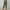 Army Green, variant on WXLWZYWL Capris Pants for Women with Pockets Summer Baggy Linen Pants Dandelion Printed Drawstring Pant Loose Comfy Lounge Jogger Slacks Running Pants
