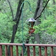 thumbnail image 2 of Perky-Pet 36 in Green Metal Adjustable Railing Feeder Hook, 2 of 7