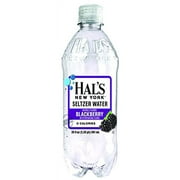 Hal's New York Seltzer Water 20 Fl Oz (Pack of 6) (Blackberry)