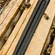 thumbnail image 4 of Colmena Escarabajos Trampas Escarabajos Catcher Natural Beehive Pest Trapper Herramientas De Apicultura 12 Uds. Speravity  TO003010-00, 4 of 7