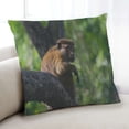 thumbnail image 1 of Ahgly Company Coussin d'Intérieur Animaux Singe, 18 Pouces par 18 Pouces, 1 of 6