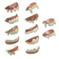 thumbnail image 3 of Halloween Fake Teeth Horror Cosplay for Masquerade Fancy Dress Party Favors 12pcs Pearlescent, 3 of 9