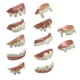 thumbnail image 3 of Accesorio de disfraz de cosplay divertido para adultos con dientes de Halloween, decoración para fiesta elegante 12 piezas nacaradas., 3 of 9