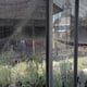 thumbnail image 4 of Red de sombra para terraza, vela de sombra rectangular, tela de sombra con ojales, para pérgola, flores, patio, césped y casa para mascotas (tamaño: 3 x 3 m/9,84 x 9,84 pies), 4 of 5