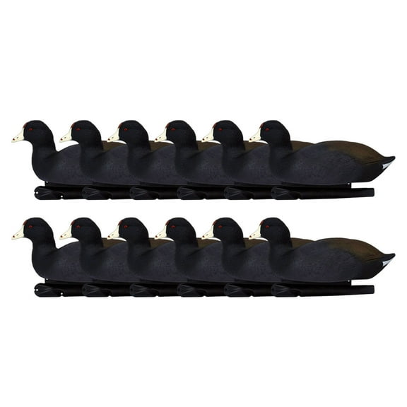 Avian X Top Flight Coot w/Ultra Realistic Paint Scheme for Hunting, 12 Pack