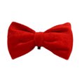 thumbnail image 1 of House Of Paws Bow Tie Velvet Dog Squeak Toy, 1 of 2