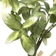 thumbnail image 4 of Northlight Satin Pothos Leaf Artificial Bundles - 13" - Green - Set of 6, 4 of 6