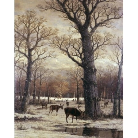 Deer Foraging Winter 19th C Artist Unknown Canvas Art - (18 x 24)