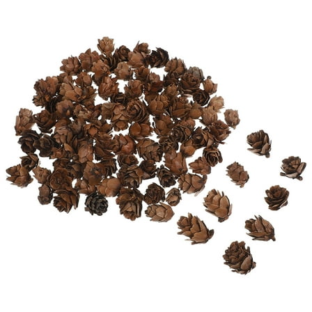 FELTECHELECTR 100Pcs Christmas Pine Cones Ornaments for Tree Mini Pinecones Rustic Charm Assorted Color Decor