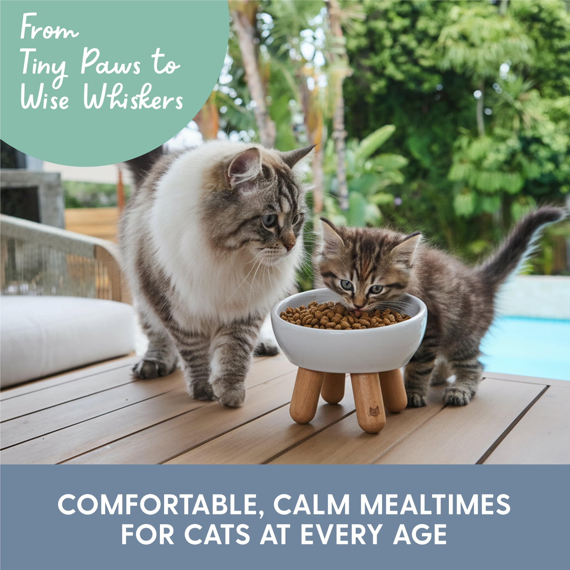 The Cat Ladies Tilted Ceramic Cat Bowl - Elevated Food Bowls Ceramic Pet Bowl - Raised Ceramics Bowls - Elevated & Tilted Design for Comfortable Eating - Grey
