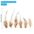 thumbnail image 2 of Uxcell 2.8''-5.5'' Saddle Hackle Rooster Feather Bulk Natural Feathers Fluffy Craft Feathers 100 Pcs Brown, 2 of 6