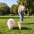 thumbnail image 3 of VMWMSSR Polka Dot Tulle Dog Sun Hat Elastic Mesh Puppy Head Cover Breathable Pet Sun Protection Bonnet For Small Medium Dogs Outdoor Walking Park Travel(Pink-9.84"), 3 of 3