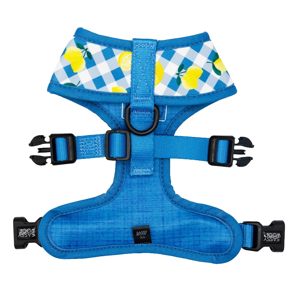 Sassy Woof Comfort Dual-Clip Reversible Dog Harness - Lemonade Stand, Extra Small