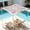 C, variant on Miwamany Shade Sail,Sun Shade Sail, Colorful Floral Print Permeable Shade Sails UV Block Sunshade Outdoor Patio Canopy Sun Cover for Backyard, Garden, Porch, Sand 59.06x59.06 In