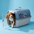 thumbnail image 3 of Vibrant Life Small 2-Door Dog Kennel, Blue, 25 lb Limit, 3 of 9