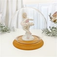 thumbnail image 2 of Plymor 6" x 7" Glass Display Dome Globe Cloche (Oak Veneer Base), 2 of 2