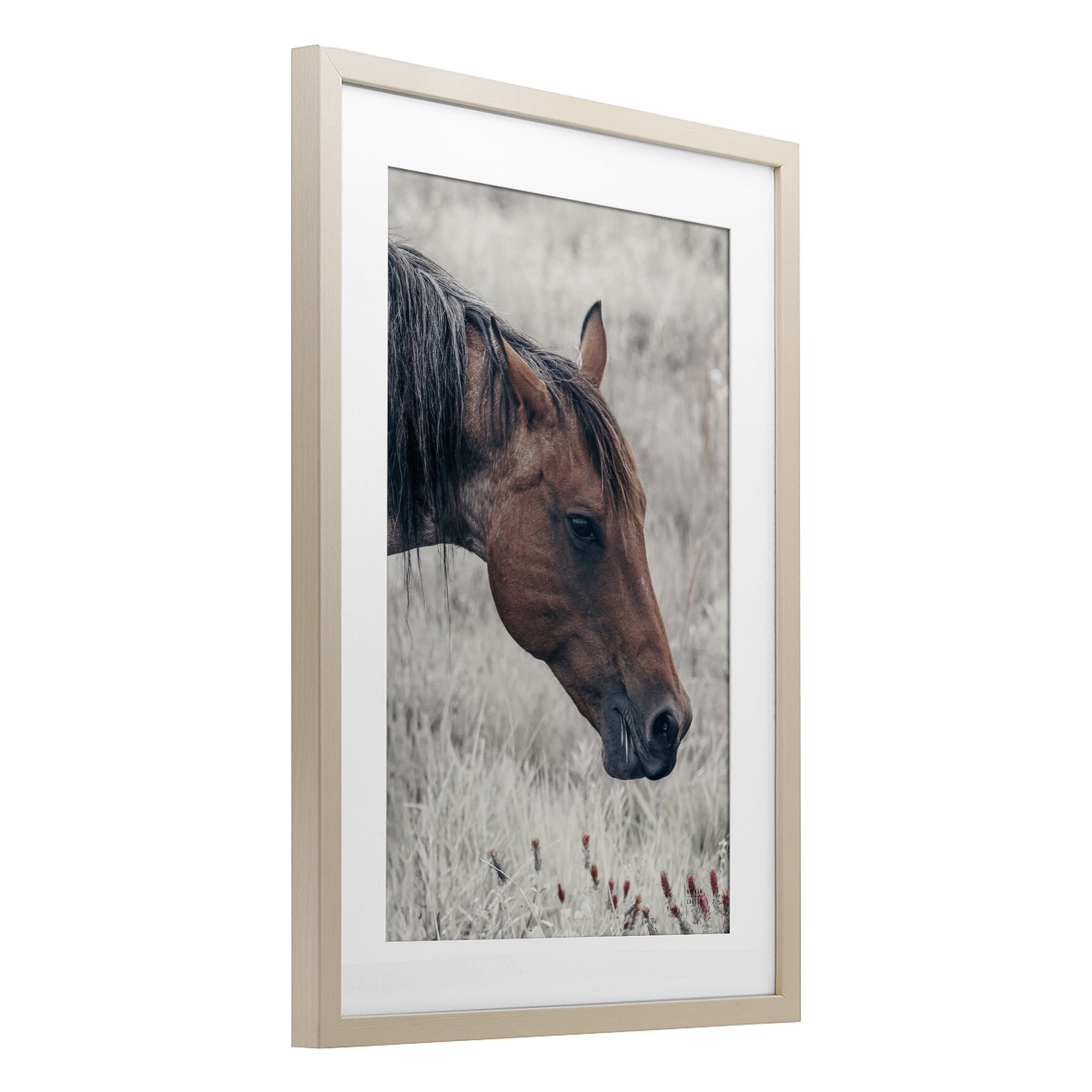 Stupell Industries Mother Horse Grazing in Meadow Birch Framed Print Under Glass, design by Nathan Larson