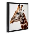 thumbnail image 3 of Stupell Industries Transitional Traditional Giraffe Portrait Black Floating Frame Canvas Art, 18 x 18, by RB, 3 of 8