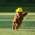 thumbnail image 4 of Western Cowboy Pet Hat with Adjustable Design for Cats and Dogs, 4 of 7