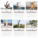 thumbnail image 5 of Calendario de Pared Kung 2026 Calendario Divertido, 5 of 7