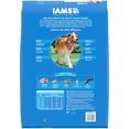 thumbnail image 3 of Iams Proactive Health Chicken Flavor Dry Dog Food Healthy Weight, 15 Lb Bag, 3 of 12